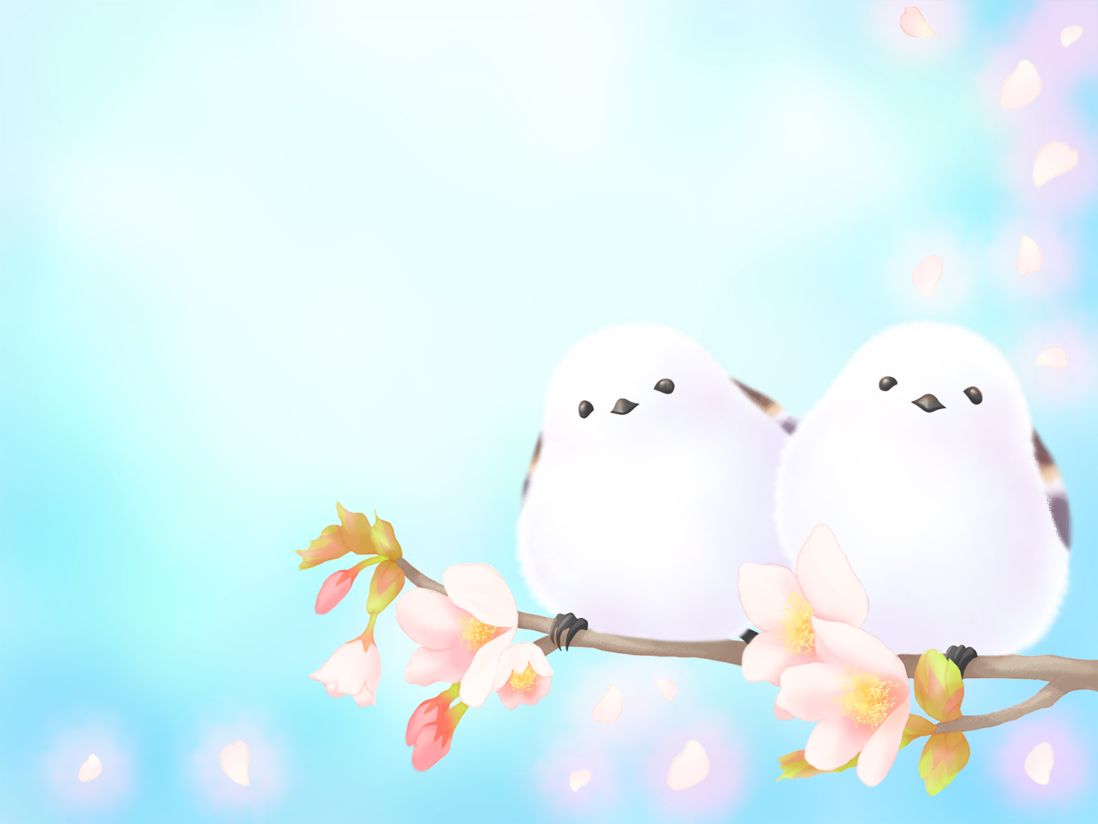 夫婦のイメージ写真